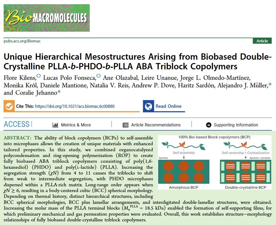Biobased block copolymers polymères biosourcés